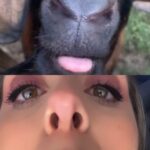 Denyzee Instagram - I speak goat 🤣🤣 Je parle chèvre couramment #goat #funny #funnyvideo #meme #funnymeme #fyp #goatmeme #hilarious #goatsoftiktok #funnygoat