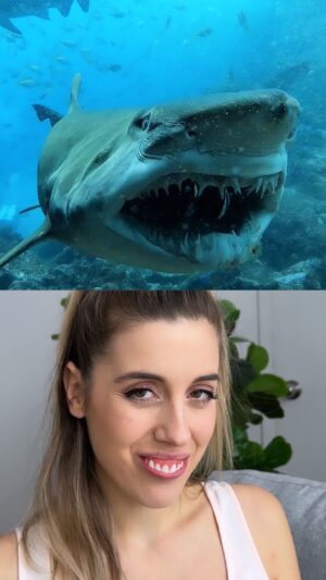 Denyzee Instagram - Personne pour la saint Valentin? Sors ton plus beau sourire. 😂😭💦 Alone for Valentine’s Day? Smile 😃 #fun #meme #tiktok #funny #comedy #lol #wtf #shark #jaws #memes #memedaily #memesdaily #comedie #drole