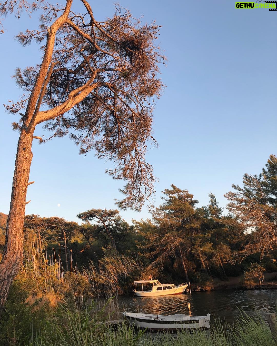 Derya Artemel - 2.9K Likes - Eylül 🛶