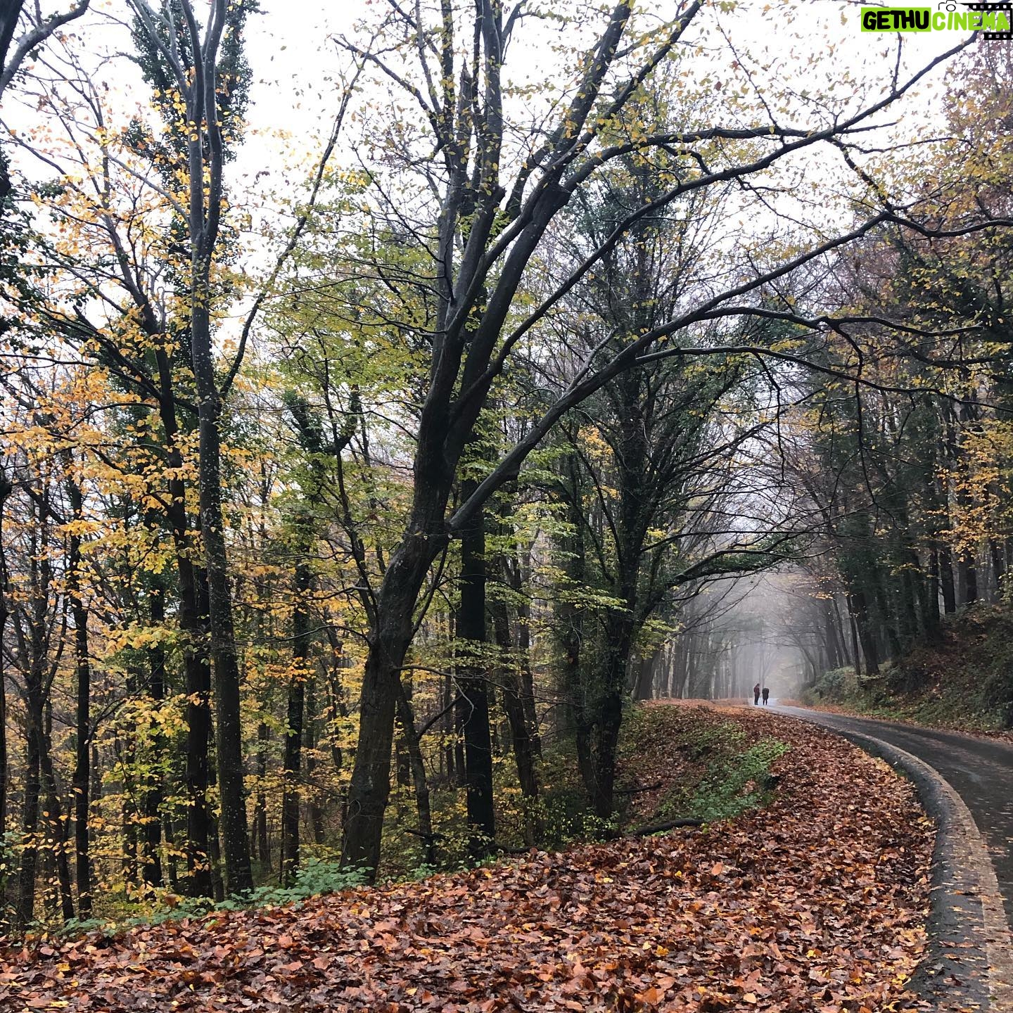 Derya Artemel - 5.2K Likes -