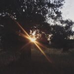 Derya Artemel Instagram - Özlediğim yerler..