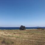 Derya Artemel Instagram - yaz manzaraları