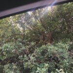 Derya Artemel Instagram - Günler, aylar, yıllar, gün batımları, kalpler ve rüzgarlar.. 🌾