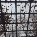 Derya Artemel Instagram - 🍁
