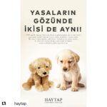 Derya Artemel Instagram - #Repost @haytap with @get_repost ・・・ Yasaların gözünde ikisi de aynı! 5199 sayılı Hayvan Koruma Kanununa göre eşyaya zarar vermenin cezasıyla sokak hayvanlarına zarar vermenin cezası aynı. Bu suçun karşılığıysa çok küçük miktarlarda para cezası. Bu duruma sessiz kalıp suça ortak olmayın, yasanın değişmesine destek olun. #haytap #hayvanhakları #yaşamhakkı