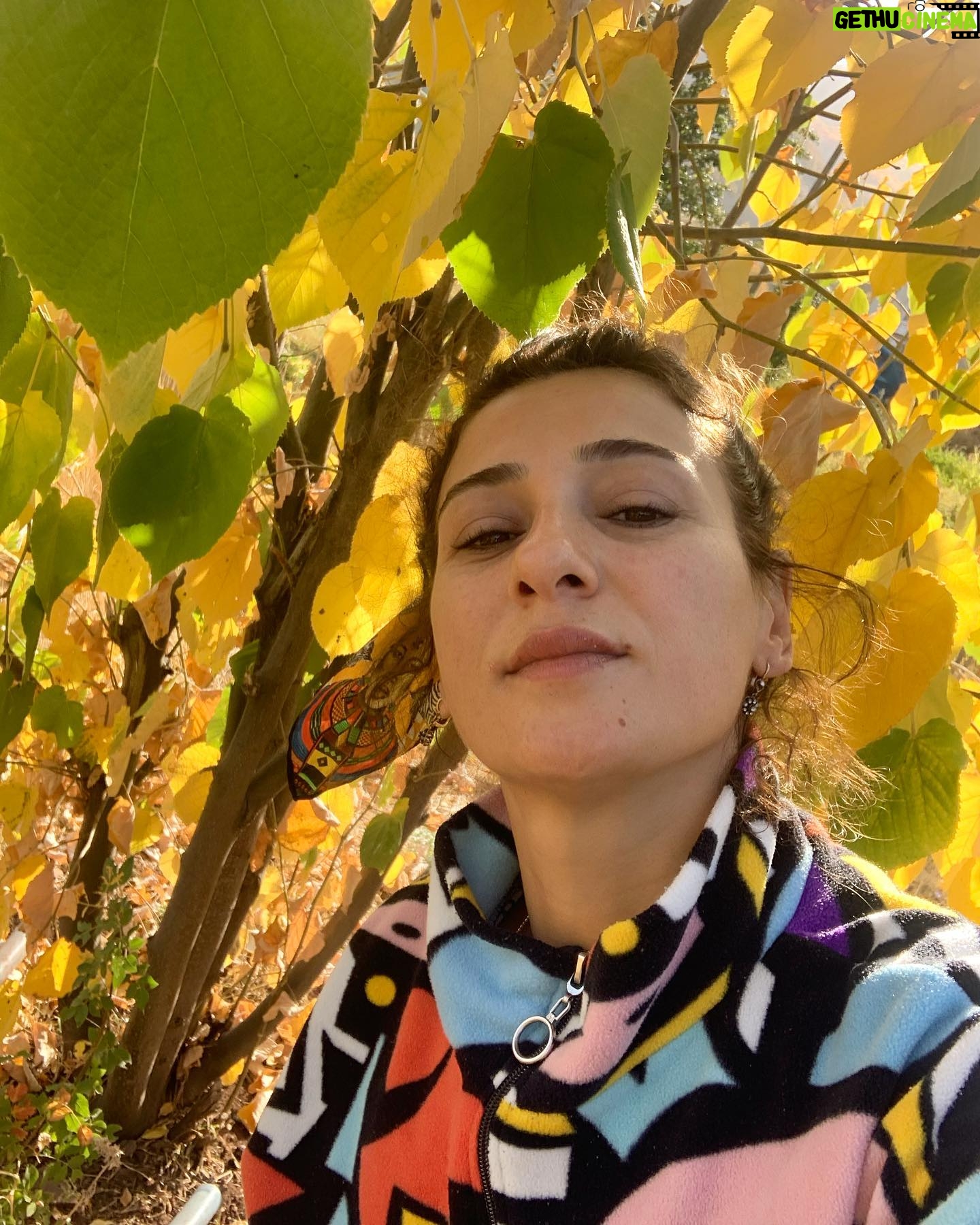 Derya Karadaş - 5.8K Likes -