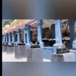 Devipriya