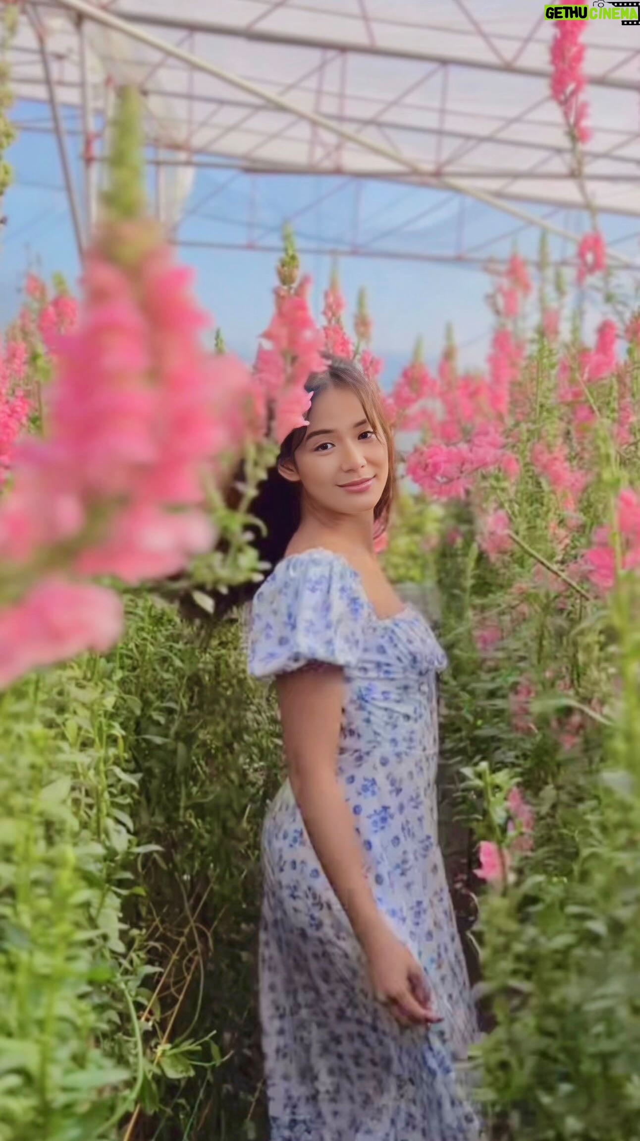 Devon Seron Instagram - Life is a precious gift, use your time wisely.🪞🪷🌸