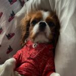 Devyn Nekoda Instagram - comment for tbh