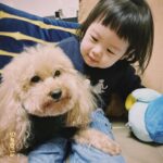 Dewi Chien Instagram - 🧨過年的必備行程： 初一走春（保安宮）-初二回娘家 -初四迎財神（廣天宮） #今年回娘家第一站外婆家 #🥕🥭超級愛狗狗 #被療癒了