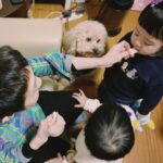 Dewi Chien Instagram - 🧨過年的必備行程： 初一走春（保安宮）-初二回娘家 -初四迎財神（廣天宮） #今年回娘家第一站外婆家 #🥕🥭超級愛狗狗 #被療癒了