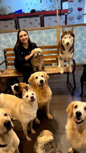 Dhrriti Saharan Reddy Instagram - Sunday spent well with these amazing doggos!!! ♥️♥️♥️
Celebrating the love received on our  latest Single I MISS YOU 🦋
@niharika_sekhri Thank you for having me over 🥳🎉🎊
#imissyou #soultunes #dhrritisaharan #newmusic
.
.
.
#doglover #doglovers #dogsofinstagram #happy #happyday #newsong #singer #paws #pawfect #pawfectlife #mumbai #mumbaikar