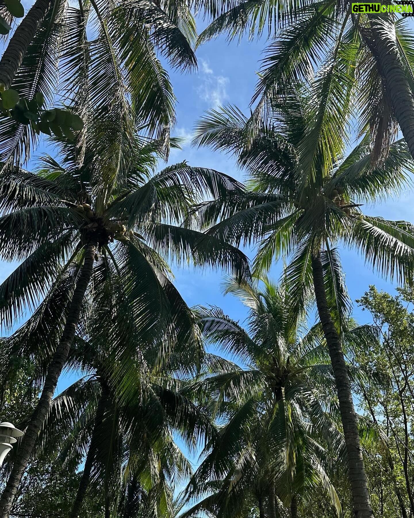 Diane Leyre Instagram - drop de mon voyage à Miami avec la compagnie aérienne @flynorse ❤️🌴 si vous souhaitez partir en vacances à prix réduit avec un service de qualité je vous conseille vraiment de booker vos billets avec FlyNorse ✈️ *invitation