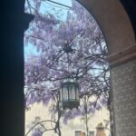 Diane van Fürstenberg Instagram - Good day ! ..day of the solar eclipse ! Let go of bad energy ..focus on kindness and being true to ourselves ! Sending love from Serenissima Venezia ❤️🙏❤️