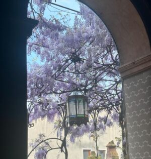 Diane van Fürstenberg Instagram - Good day ! ..day of the solar eclipse ! Let go of bad energy ..focus on kindness and being true to ourselves ! Sending love from Serenissima Venezia ❤️🙏❤️