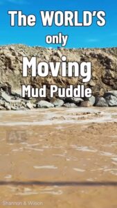 Dianna Cowern Instagram - Meet the unstoppable moving mud spring, also known as the Niland Geyser. Full video: https://youtu.be/Ek1buV2HA68