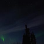Dianna Cowern Instagram - Last year we traveled to Alaska and witnessed some of the most beautiful scientific phenomenon on Earth. The aurora borealis, also known as "the northern lights". This is above Fairbanks Alaska. It was one of the most incredible trips we might ever make on this planet. Enjoy the vibes 😊 Want to know why the light dances like that? Dianna explains it in our video we made - https://www.youtube.com/watch?v=85-p9EIEVUA&t=126s&ab_channel=PhysicsGirl #auroraborealis #northernlights #alaska #fairbanks #science