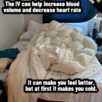 Dianna Cowern Instagram - [Dianna's editor(Levi) typing] Dianna in bed under blankets on this very long and debilitating battle with long COVID. This is an image of Dianna trying to get warm after getting a saline IV. It makes her cold at first, but hopefully making her feel better. #longcovid #covid #PhysicsGirl #longcovidsymptoms #longcovidawareness