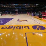 Dianne Doan Instagram - BUCKET LIST MOMENT. My mind is still blown from last night. Being in an arena filled with @lakers fans is an adrenaline rush that cannot be replaced. I’m so grateful for the opportunity to experience it. Thank you @bibigousa for having us. @danakadan you seriously are the man🙏🏼 appreciate you so much. And everyone who works so tirelessly to make nights like these run smoothly. We felt so safe and well taken care of.🙏🏼 And lastly…. When I say I SCREAMED when I saw @bibigousa on the court, on the Jumbotron, on the seats, and jerseys. It’s unreal what this kind of representation means. To know that our community is reaching new heights….. PROUD is an understatement.💜💛💜💛