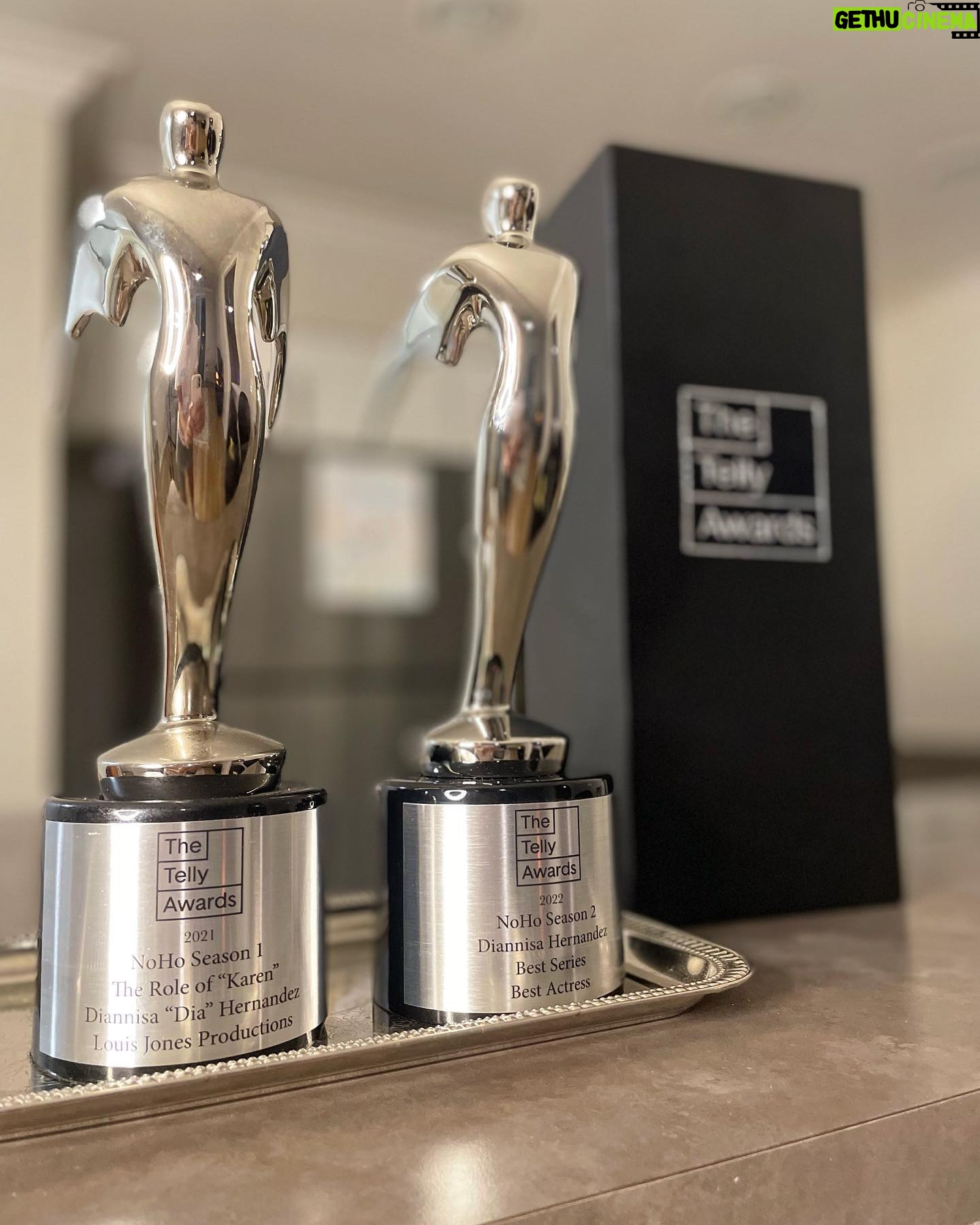 Diannisa Hernandez - 3 Likes - So… this happened. I don’t like celebrating my successes but my friends keep telling me I need to talk more about them… so .. I am now a 2x Telly award winning actress. ♥️💐… and I really wanna thank @drlouisjonesofficial for believing in me when I only saw my self as a background actress or small creator he saw a LEAD and made me one more times than 1. He submitted me the first time basically behind my back because I didn’t see myself as a lead and then I get a text from him saying I got an award. So thanks my love I owe you everything thanks for being a true friend. Being an actor is hard but 100% of the time it’s YOU vs YOU.. I have a lot more learning to do and for that I’m excited for these next projects. I can’t wait til y’all see what I’m up to I can’t speak on then yet but really thank you all for supporting me. All of us play a huge role in each others successes. So muah!