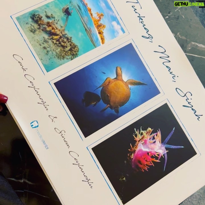 Didem Taslan Instagram - Ailemin Sevgili üyeleri @cenkceylanoglu ve @dr.sinemtaslan yılların sualtı fotoğraflarını, dalışlarını, Avrupa ve Dünya Şampiyonluklarını sonunda bir kitap haline getirdiler. Yılların birikimini biraraya toplayıp Turkuaz, Mavi, Siyah adıyla ortaya çıkan bu muhteşem kitabın oluşumunda emeği geçen herkesi tebrik ediyorum👌🏻💯🎉🌺🧿 Yüreğinize sağlık❤️❤️❤️