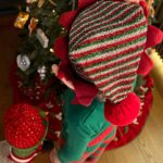 Didem Uzel Instagram - ❤️💚🎄✨🎅🏼🧿 İlla bir şey yazmak zorunda değilim; foroğraflar oldukça sıcacık, sevgi ve umut dolu ….. #mrleosdiaries #mrleonungünlüğü @leoaslansari #2024