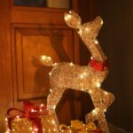Dilan Telkök Instagram - 🦌🎄🎁