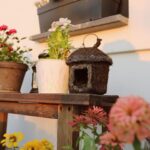 Dilan Telkök Instagram – #home🏡