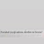 Dilara Aksüyek Instagram –