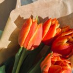 Dilara Aksüyek Instagram -