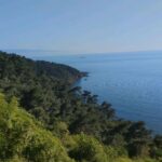 Dilara Büyükbayraktar Instagram - Salcano bul beni 🚲 #bisiklet #tur #canimannem #princessisland #bycicle