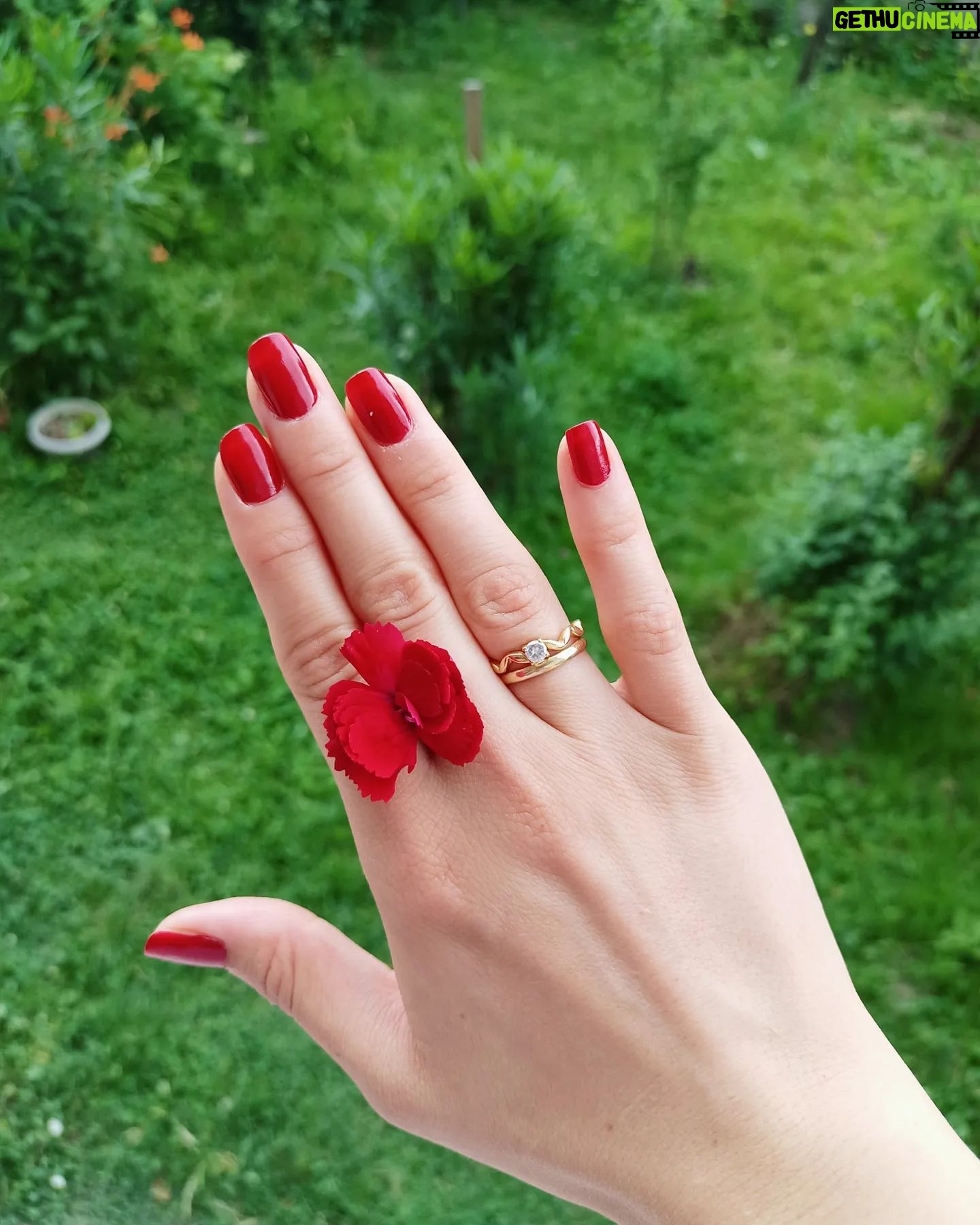 Dilara Mücaviroğlu - 1.2K Likes - Safrabolu🌳 Kınamdan hemen önce.. Ne güzeldi..❤️🌹