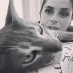 Dina Félix Costa