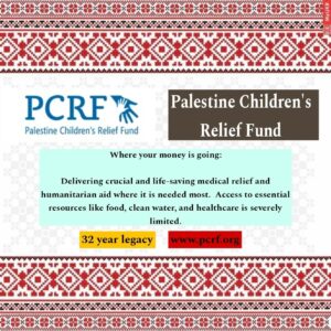 Dina Shihabi Instagram - As promised, after many of you asked, here's a list of trusted charity organisations you can DIRECTLY donate to if you'd like to help the people of Gaza with medical aid and food - which are the main priorities right now. ⁣
⁣
I have personally donated to each of these organisations and will be donating again. ⁣
⁣
The organisations are as follows:⁣
⁣
1) @aneraorg - Delivering food and hygiene kits.⁣
⁣
2) @thepcrf - Delivering crucial and life saving medical relief and humanitarian aid.⁣
⁣
3) @medicalaidpal - Delivers vital medical aid and shelter supplies.⁣
⁣
4) @palestineredcrescent - Delivers humanitarian assistance as well as social services to Palestinians. They're the leading provider of emergency and medical services in Gaza. ⁣
⁣
I wanted to add @sulalaanimalrescue to the list, but unfortunately aid for animals hasn't been made a priority by organisations like the @unitednations . But please head on over to their page and check out the pinned post to see how you can currently help.