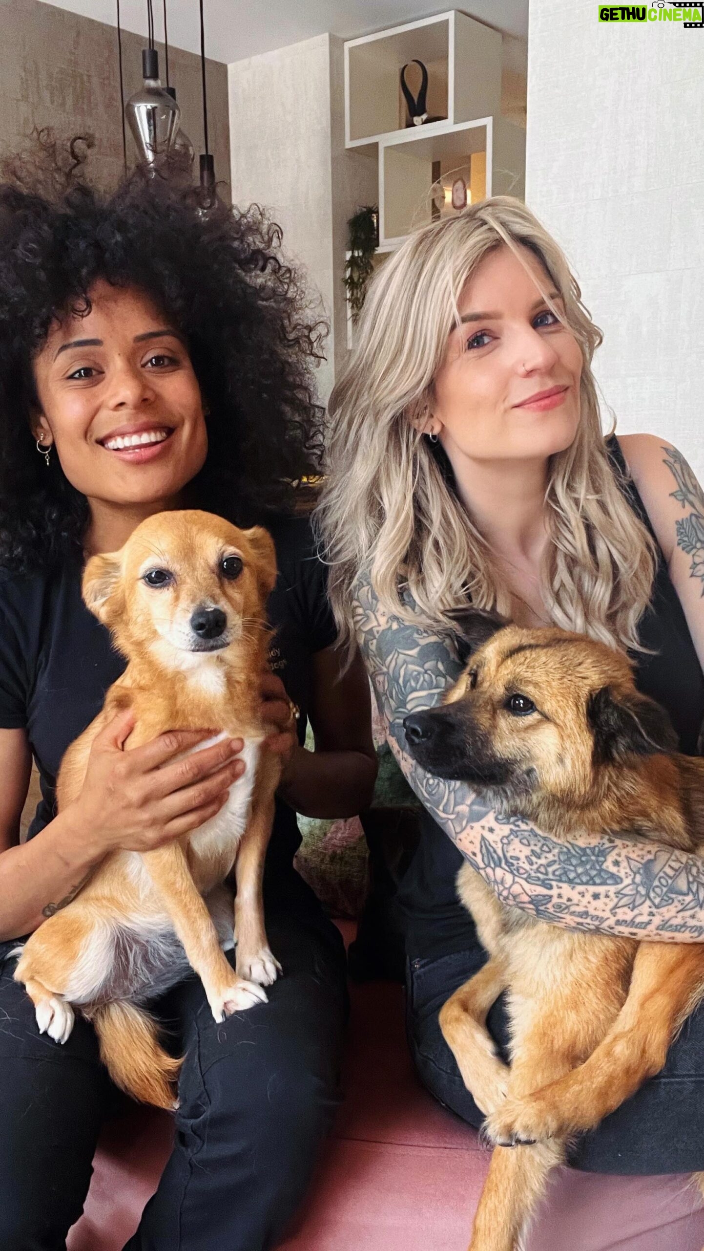 Dionne Slagter Instagram - Ik wil graag het juiste doen voor Dolly en de nieuwe Leia, maar soms ben ik hierin een wandelend vraagteken. Daarom heb ik hulp ingeschakeld en @life_coach_leidy_ came to the rescue ๐ซถ๐ผ Met de eerste paar tips maakte ik op afstand al grote stappen met de twee, maar na onze eerste sessie zijn nu ook mโn eerste fijne wandelingen met Leia een feit! ๐๐ป Het is belangrijk je te realiseren waar je aan begint en dat je daar moeite, liefde en genoeg geduld in steekt. Als we dit na 1 sessie al kunnen bereiken samen, dan ben ik heel benieuwd waar we na een langere tijd staan. Dat ga ik trouwens allemaal vastleggen ๐ en uiteindelijk bundelen tot 1 YouTube video. Leidyโs methode is exact wat ik zoek. Kijk zeker op haar pagina voor de beste tips voor jou en je hond en schakel haar op tijd in. @life_coach_leidy_ #samenwerking