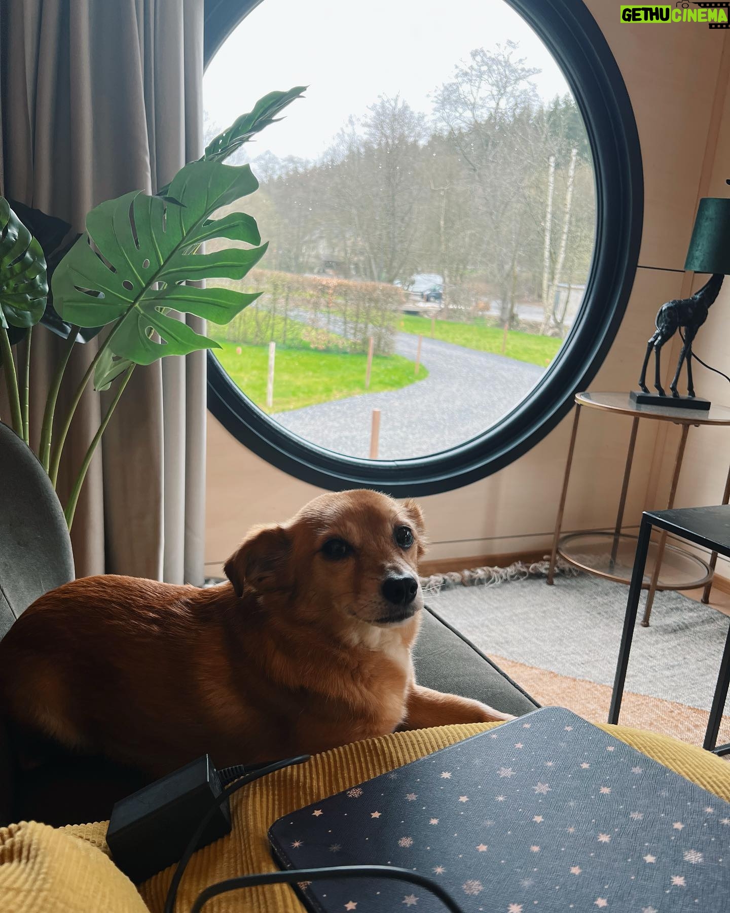 Dionne Slagter Instagram - Ik mocht bij het openingsweekend aanwezig zijn van de nieuwste locatie van @tinyparks_nl in de Belgische Ardennen🌲🌞 Ik ben al eens in Drenthe geweest voor TinyParks wat al echt fantastisch was en de Laidback Valley locatie in Saint Hubert is ook echt een pareltje. Het laatste kiekje is natuurlijk geen Tiny house, maar wel mijn droomhuis. Het is sowieso een droomplek, aangezien op zaterdagmiddag maar 2 mensen aah het shoppen waren in de Lidl. #spon
