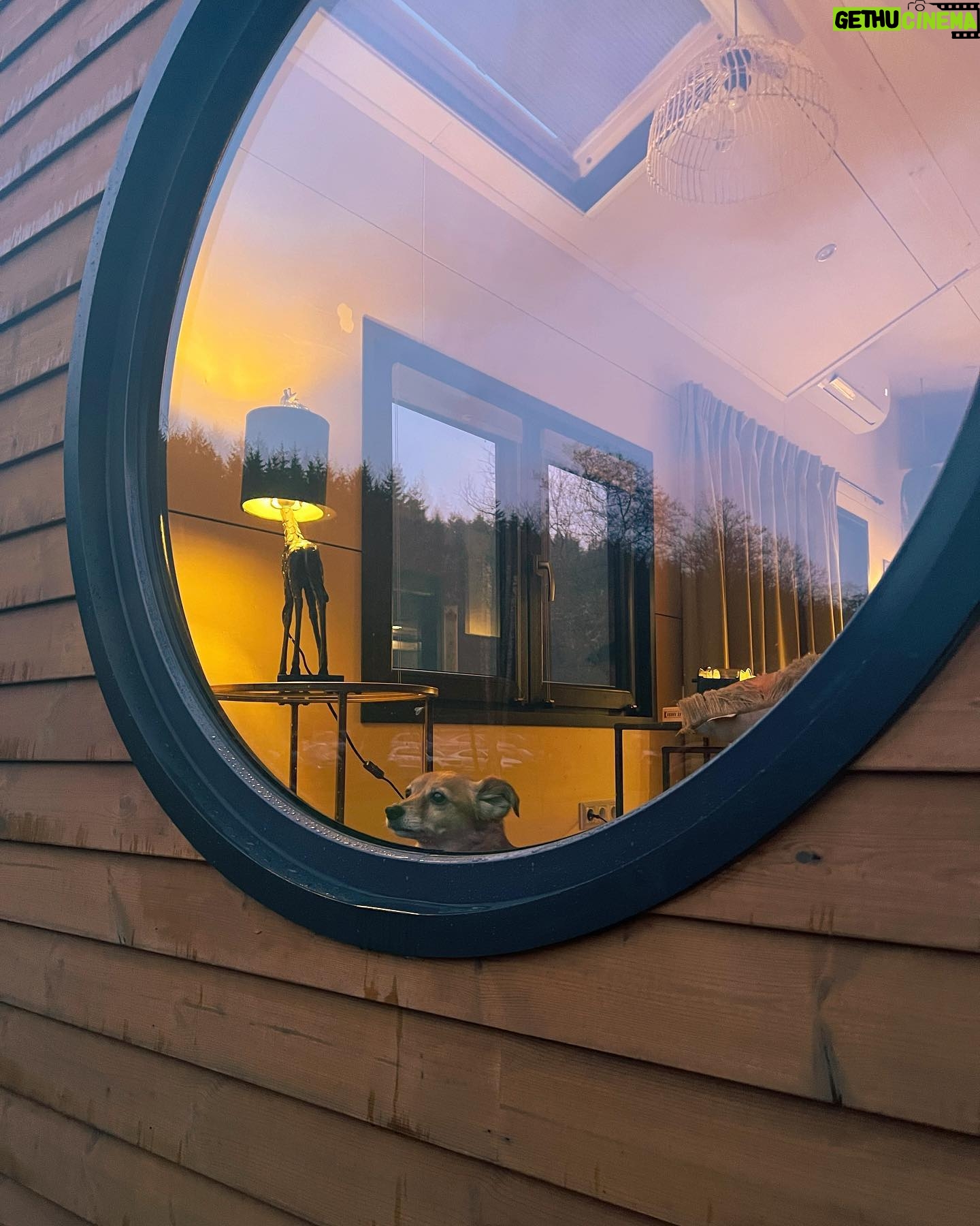 Dionne Slagter Instagram - Ik mocht bij het openingsweekend aanwezig zijn van de nieuwste locatie van @tinyparks_nl in de Belgische Ardennen🌲🌞 Ik ben al eens in Drenthe geweest voor TinyParks wat al echt fantastisch was en de Laidback Valley locatie in Saint Hubert is ook echt een pareltje. Het laatste kiekje is natuurlijk geen Tiny house, maar wel mijn droomhuis. Het is sowieso een droomplek, aangezien op zaterdagmiddag maar 2 mensen aah het shoppen waren in de Lidl. #spon