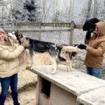 Dionne Stax Instagram - Nagenieten 🤍❄️☃️ #hethogenoorden #opnames #seizoen2 1. Snowfie ❄️ 2. Team 🤍 3. Team 1 seconde later 4. Lady Aurora 💚 5. Vrienden gemaakt 6. Nóg meer vrienden 7. 😍