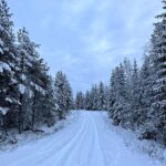 Dionne Stax Instagram - Nagenieten 🤍❄️☃️ #hethogenoorden #opnames #seizoen2 1. Snowfie ❄️ 2. Team 🤍 3. Team 1 seconde later 4. Lady Aurora 💚 5. Vrienden gemaakt 6. Nóg meer vrienden 7. 😍