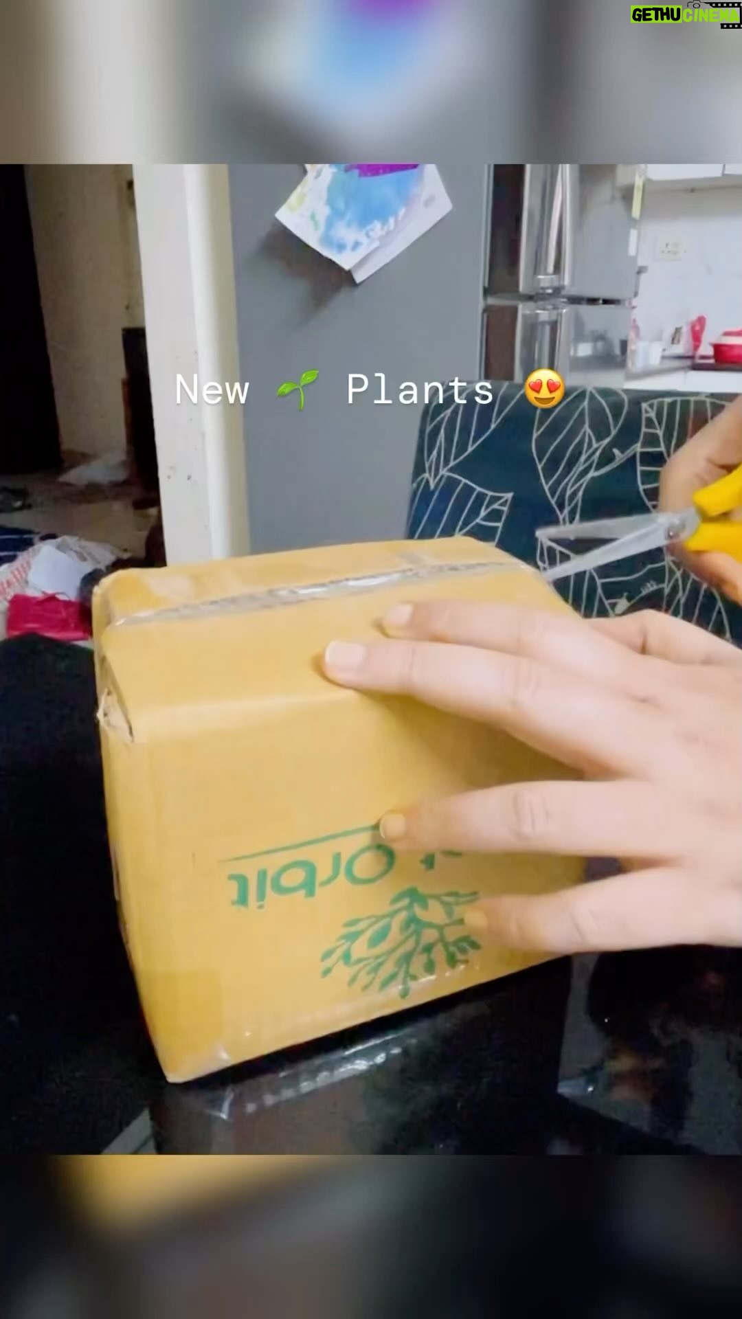 Disha Vakani Instagram - Got this beautiful sacculent plant from @plantorbit 🩵 Dm to order these small yet elegant plants which will enhance your house look wherever you put from @plantorbit at very affordable price!