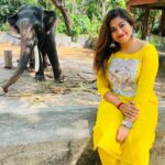 Divya Bharathi Vetrivel Instagram – Yannai❤️🐘

 📸 @luks_by_nila ☺️

#elephant #elephantlove #keralagodsowncountry #instagood #nivashinidivya #nivashini_ma #frankapannuvom #animal #animallovers #keralaelephants #elephant🐘