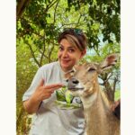 Divya Seth Shah Instagram - You think I’m a Posing Queen? Lady Neelgai topped Me 😊 You should have seen this cutey at @wildlifesos who insisted on posing and facing the camera!!!! . . . #bestdayever #wildlife #conservation #species #save #planet