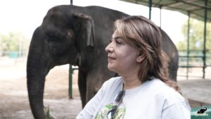 Divya Seth Shah Instagram - Wildlife SOS was delighted to interact with Divya Seth Shah - the critically acclaimed Actor, who recently visited our centres in Agra! 

During her visit, Divya got to meet our resident elephants and learn about their rescue stories from our co-founder Kartick Satyanarayan, education officers, and veterinarians. Divya has been following our work for many years, and it was a privilege to have her at the centres and meet the animals she has been supporting for such a long time! 

Swipe to see the glimpse of her experience! 

#WildlifeSOS #Wildlifeconservation #Asianelephants #pachyderms #elephants