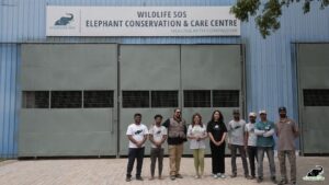 Divya Seth Shah Instagram - Wildlife SOS was delighted to interact with Divya Seth Shah - the critically acclaimed Actor, who recently visited our centres in Agra! During her visit, Divya got to meet our resident elephants and learn about their rescue stories from our co-founder Kartick Satyanarayan, education officers, and veterinarians. Divya has been following our work for many years, and it was a privilege to have her at the centres and meet the animals she has been supporting for such a long time! Swipe to see the glimpse of her experience! #WildlifeSOS #Wildlifeconservation #Asianelephants #pachyderms #elephants