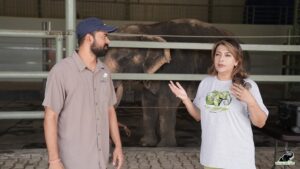 Divya Seth Shah Instagram - Wildlife SOS was delighted to interact with Divya Seth Shah - the critically acclaimed Actor, who recently visited our centres in Agra! 

During her visit, Divya got to meet our resident elephants and learn about their rescue stories from our co-founder Kartick Satyanarayan, education officers, and veterinarians. Divya has been following our work for many years, and it was a privilege to have her at the centres and meet the animals she has been supporting for such a long time! 

Swipe to see the glimpse of her experience! 

#WildlifeSOS #Wildlifeconservation #Asianelephants #pachyderms #elephants