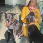 Divya Seth Shah Instagram – May Life Treat You Like You Treat Animals 🙌🏻

A Happy , Healthy 😄Home has Rescues

They Rescue US! From Strangers/ Dangers/ Negativity!!!!

Enjoy My Brood 😁

.

.

.

#dogsofinstagram #dogs #dog #animal #rescue #indian #love #home #adoptdontshop #animalrights
