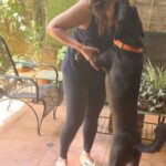 Divya Seth Shah Instagram - A large part of Your Soul will remain Unopened and Unaware if You haven’t Loved An Animal … And these Beautiful Babies who need Homes will Make your Hearts bloom with love and joy…. Just do that TODAY #adoptdontshop You will never be Alone or bereft of Company again!! And the sheer Fun 🤗🤗🤗🤗 . . . #dogs #cats #love #homeless #indie #rescue #home #forever #soul