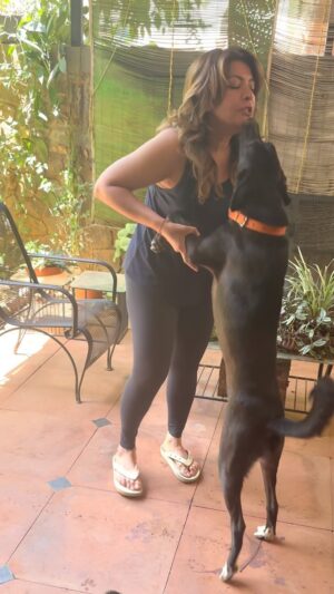 Divya Seth Shah Instagram - A large part of Your Soul will remain Unopened and Unaware if You haven’t Loved An Animal … 

And these Beautiful Babies who need Homes will Make your Hearts bloom with love and  joy…. Just do that TODAY 

#adoptdontshop 

You will never be Alone or bereft of Company again!!
And the sheer Fun 🤗🤗🤗🤗

.

.

.

#dogs #cats #love #homeless #indie #rescue #home #forever #soul