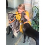 Divya Seth Shah Instagram - Thank you Maple 🍁 For sending So Many more to fill the Space You left … They’re naughtier than You But they will learn to Love like You Hope there are cucumbers wherever You are 🥹 . . . #dog #dogoftheday #dogsofinstagram #doglover #indie #indiedog #loving #loyal #handsome #guarddog #best #myboys