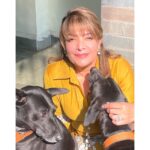 Divya Seth Shah Instagram - Thank you Maple 🍁 For sending So Many more to fill the Space You left … They’re naughtier than You But they will learn to Love like You Hope there are cucumbers wherever You are 🥹 . . . #dog #dogoftheday #dogsofinstagram #doglover #indie #indiedog #loving #loyal #handsome #guarddog #best #myboys